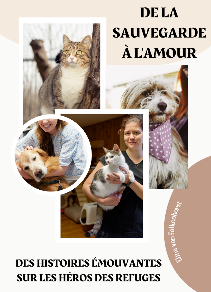 De la Sauvegarde à l'Amour