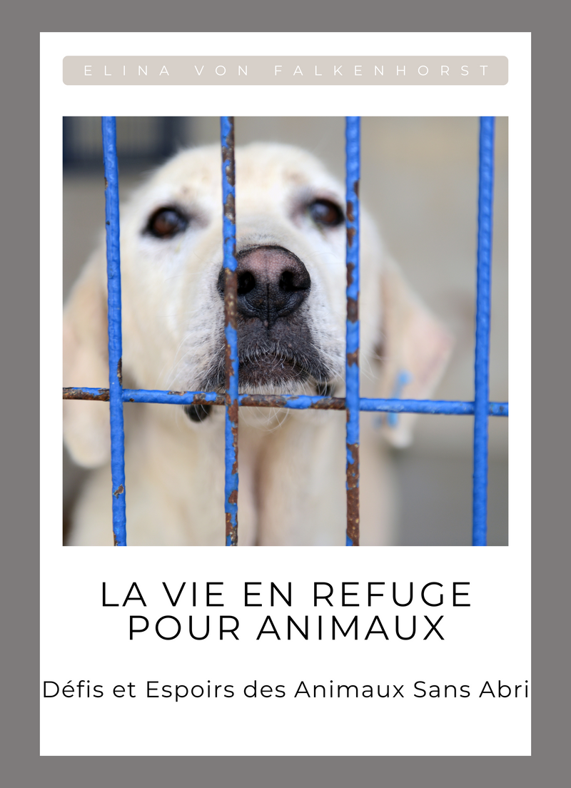 La vie en refuge pour animaux