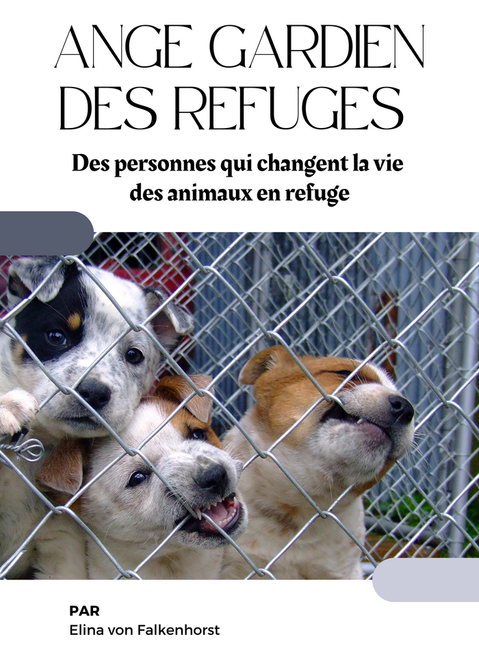Ange Gardien des Refuges