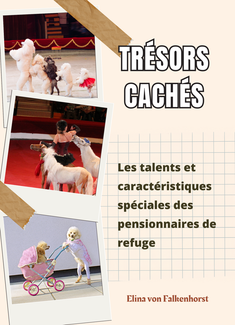Trésors Cachés