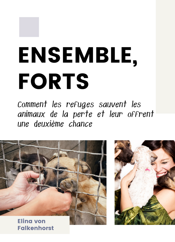 Ensemble, forts