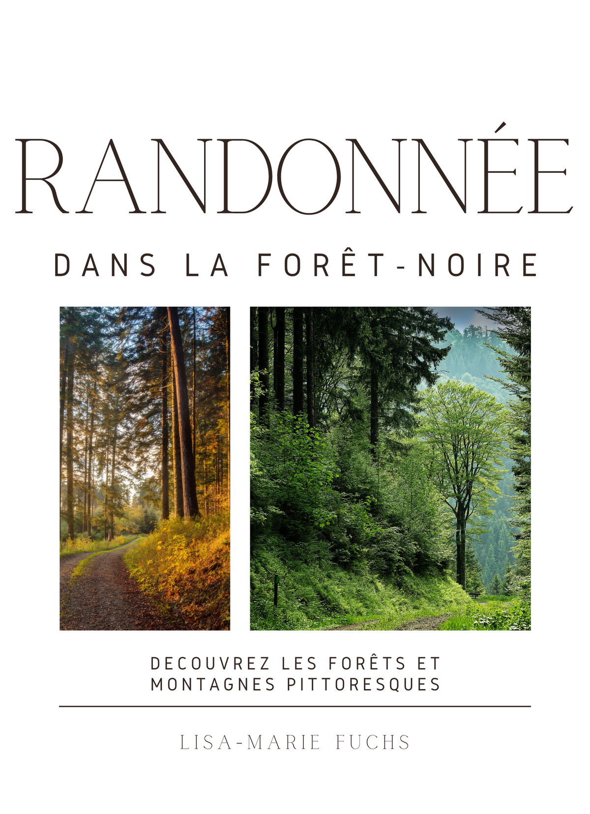 Randonnée dans la Forêt-Noire