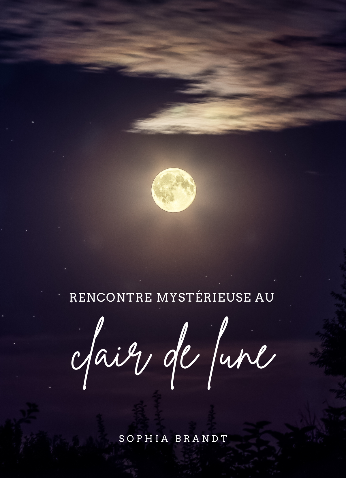 Rencontre mystérieuse au clair de lune