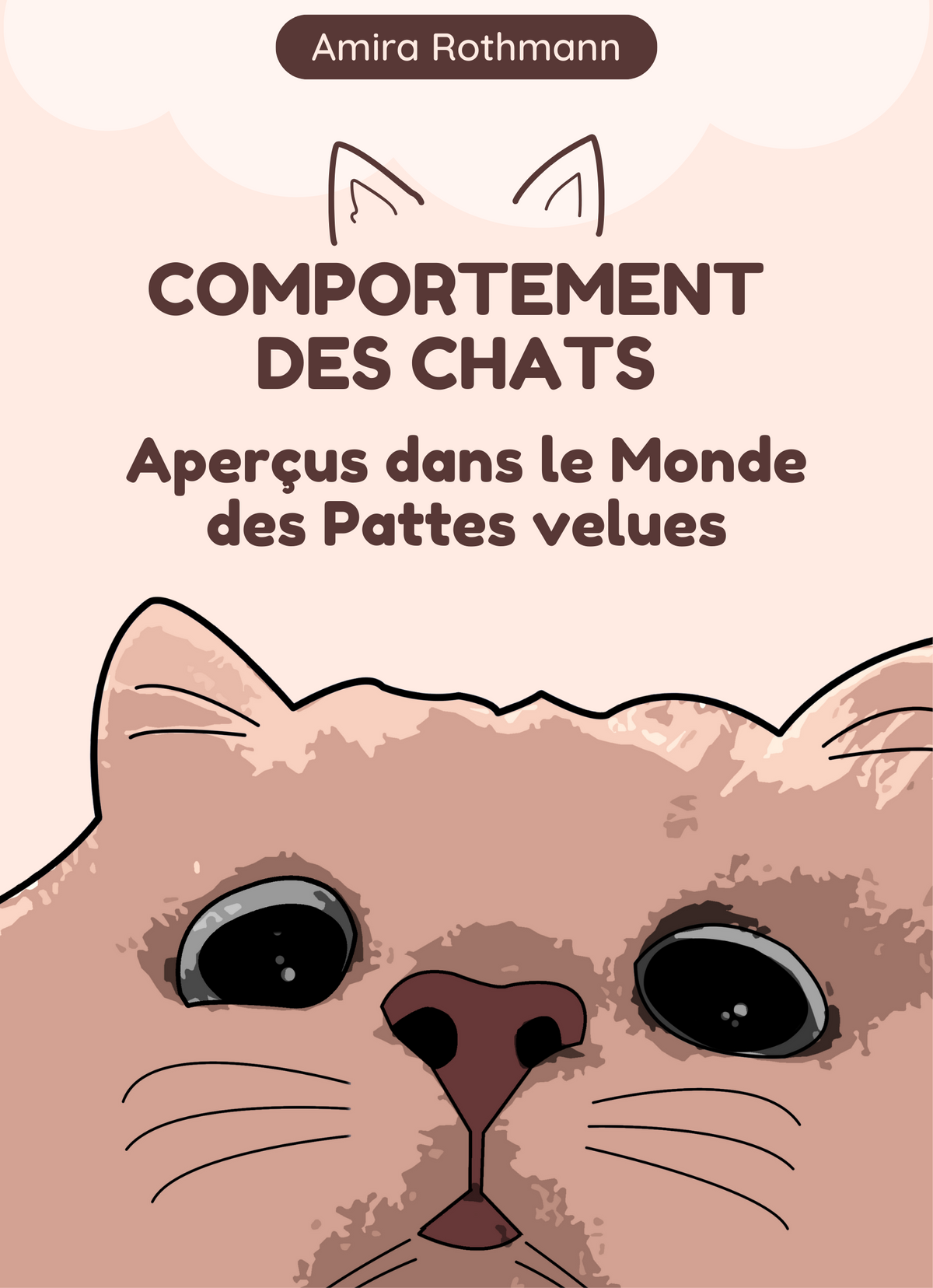 Comportement des chats