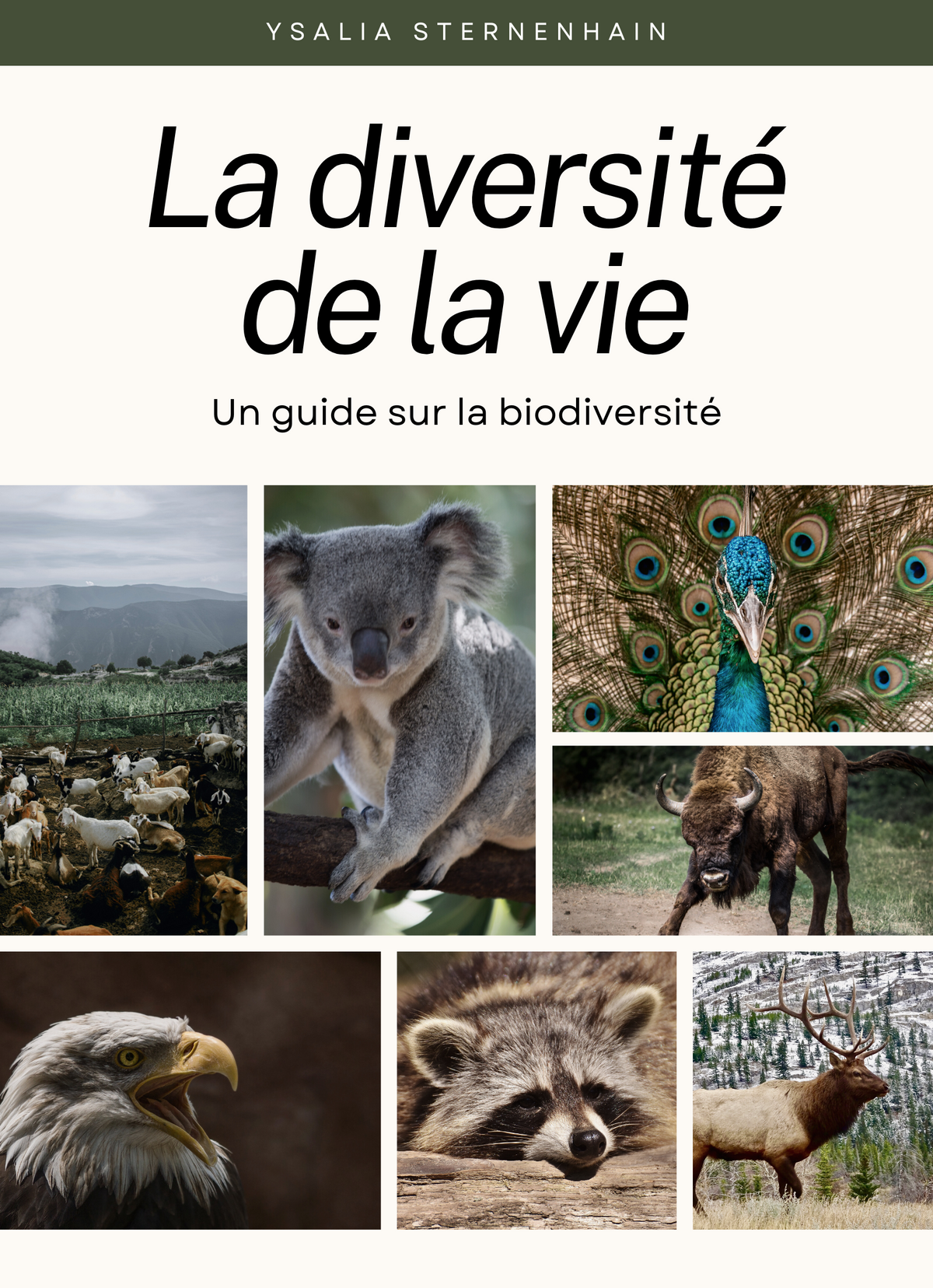 La diversité de la vie