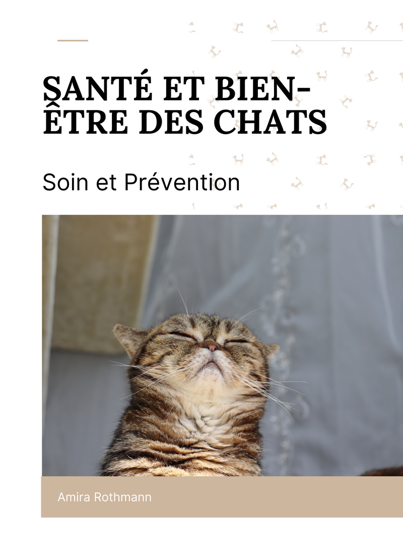 Santé et bien-être des chats