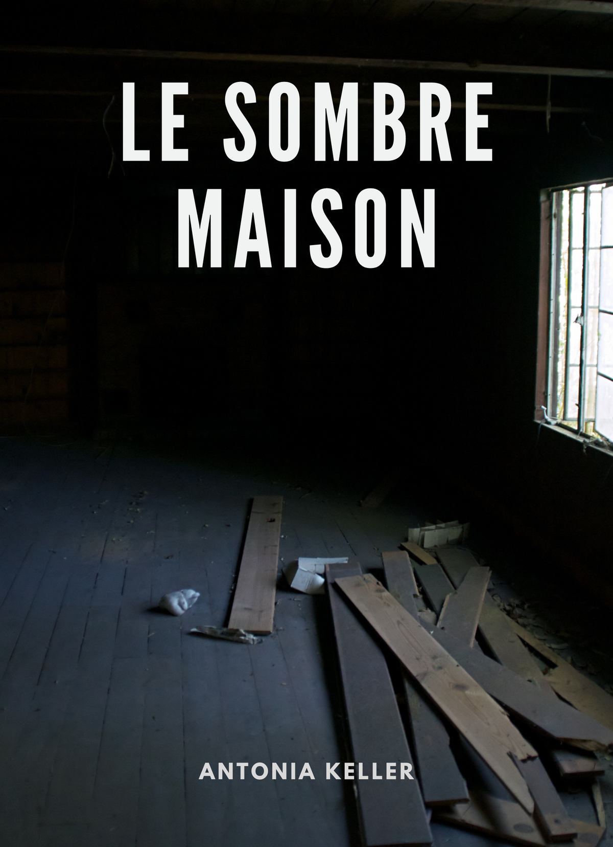 Le sombre maison