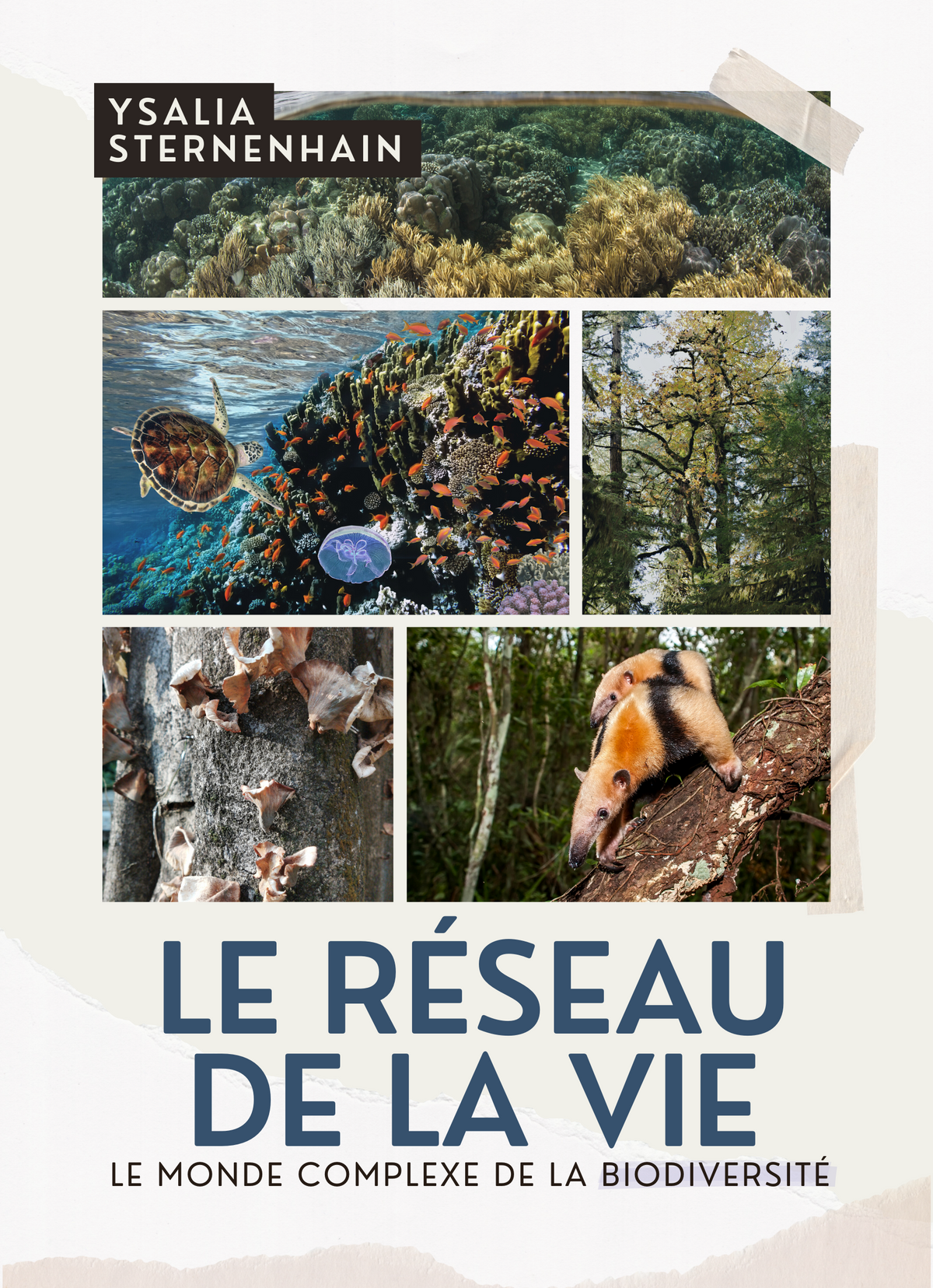 Le réseau de la vie