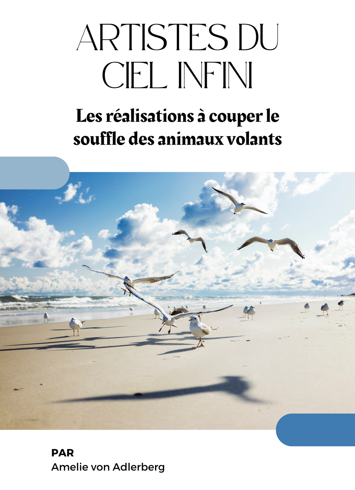 Artistes du Ciel Infini