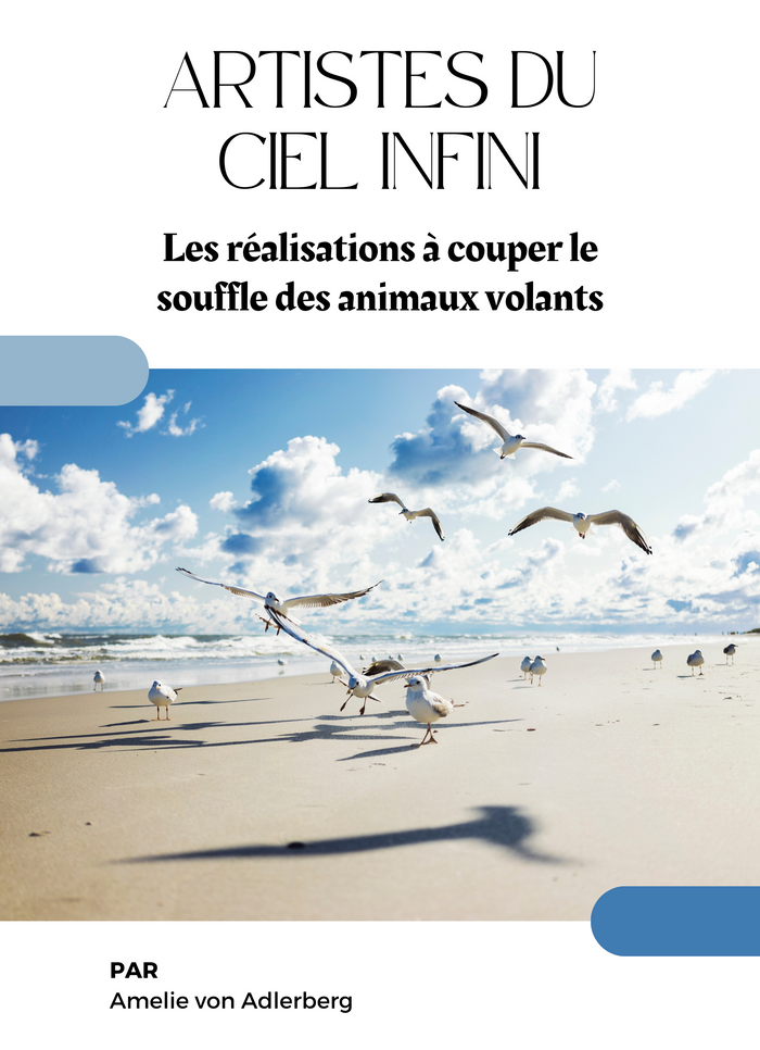 Artistes du Ciel Infini