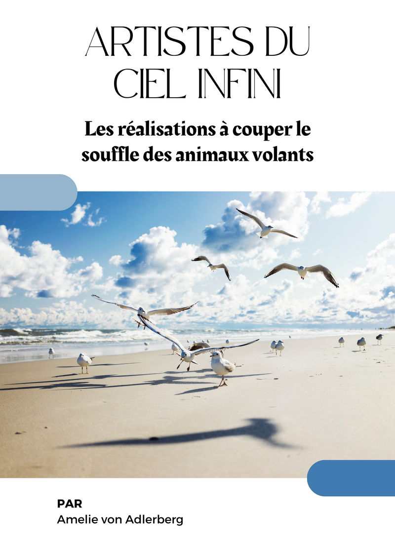 Artistes du Ciel Infini