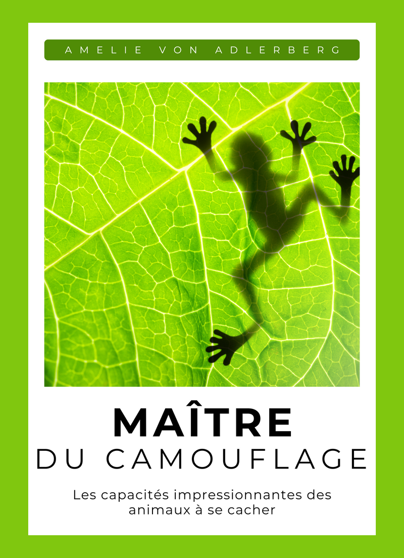 Maître du camouflage