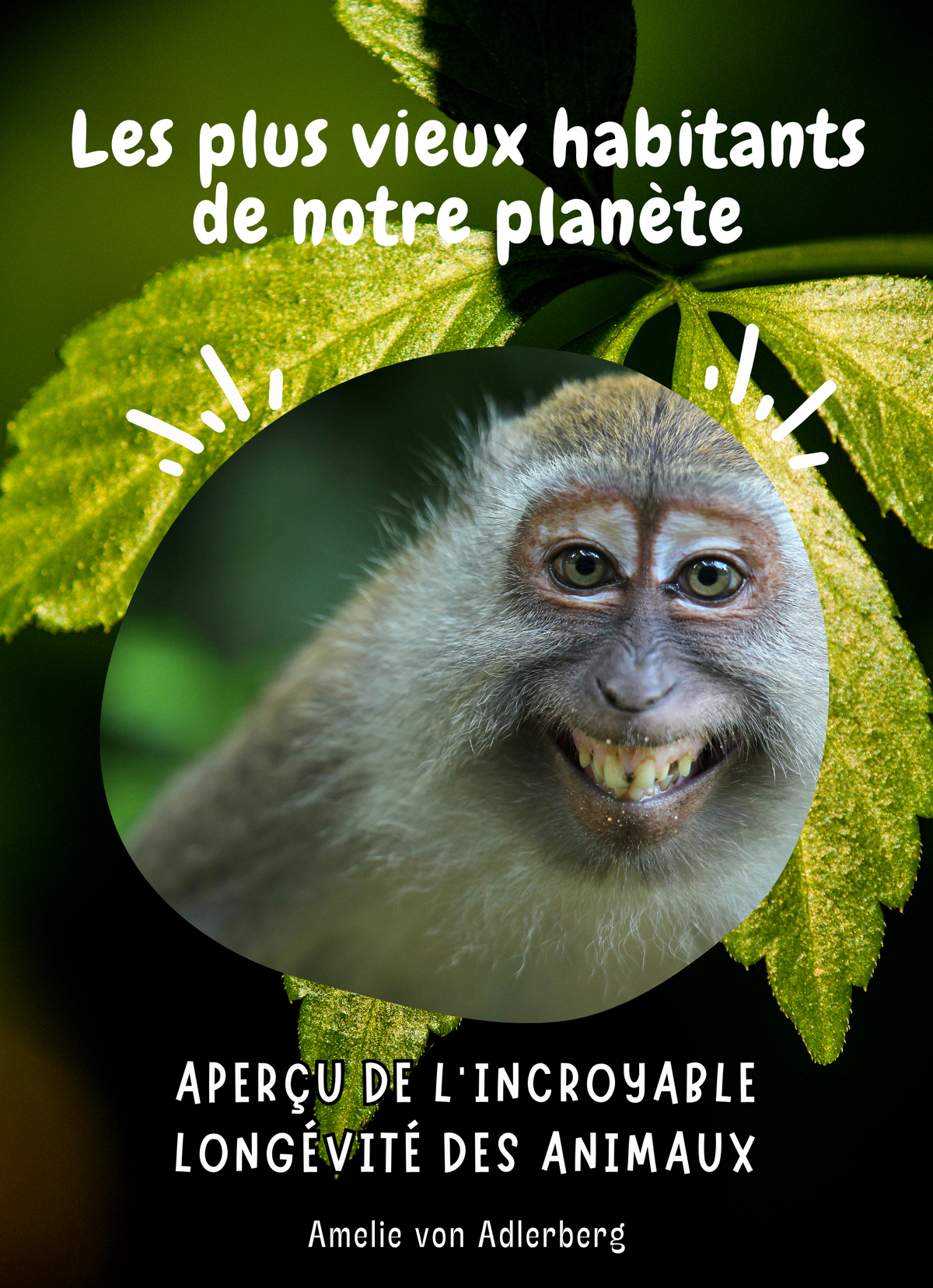 Les plus vieux habitants de notre planète