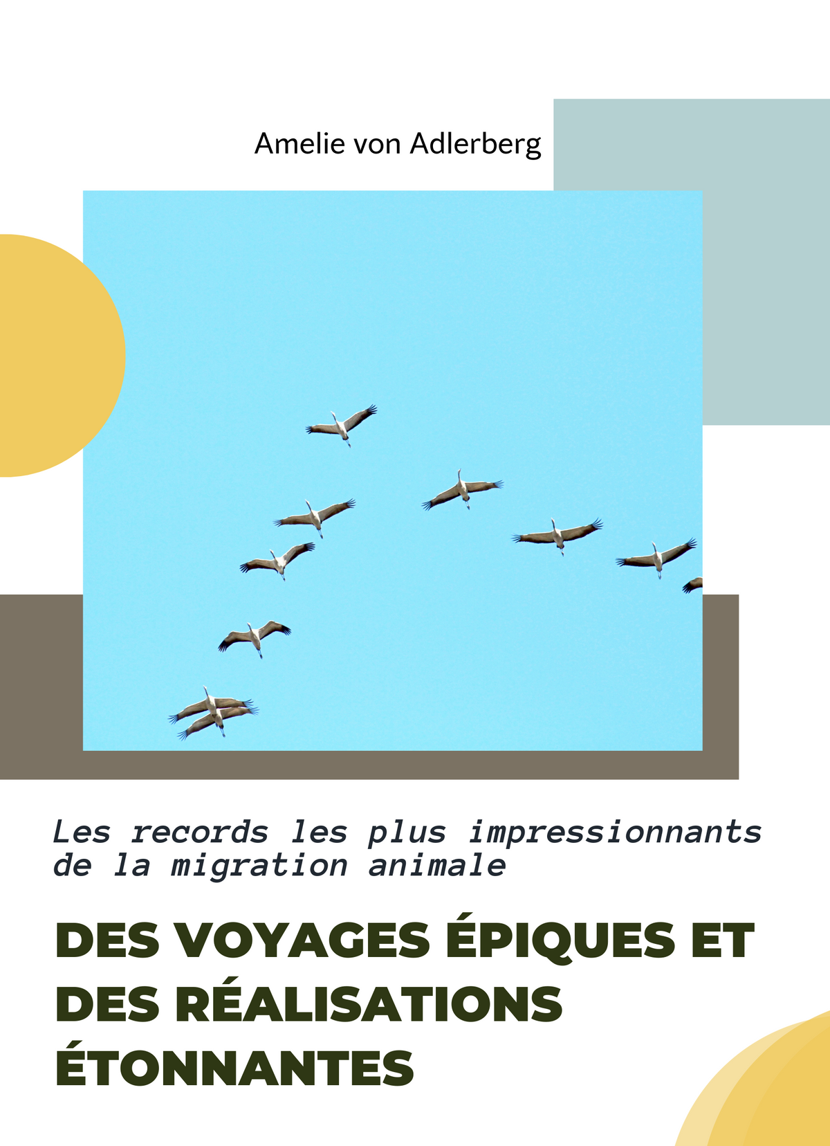 Les records les plus impressionnants de la migration animale