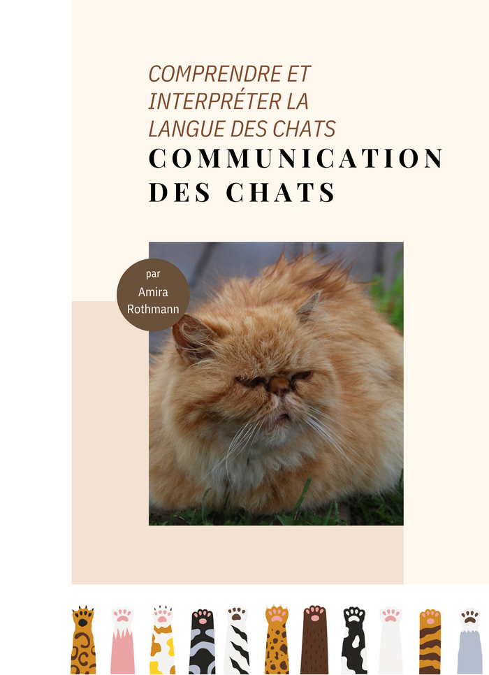 Communication des Chats