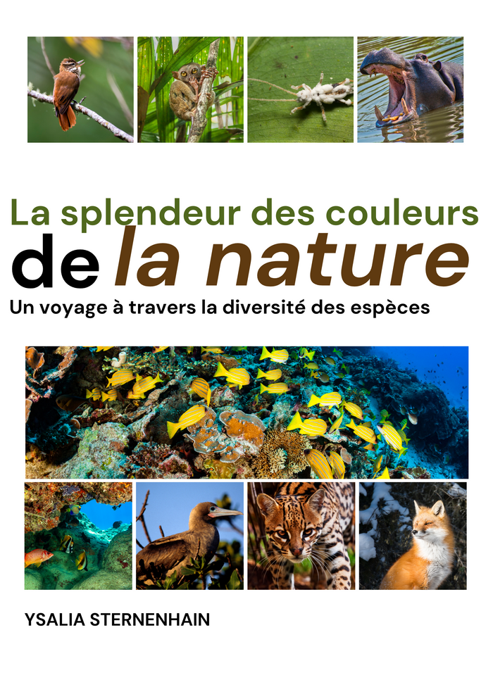 La splendeur des couleurs de la nature