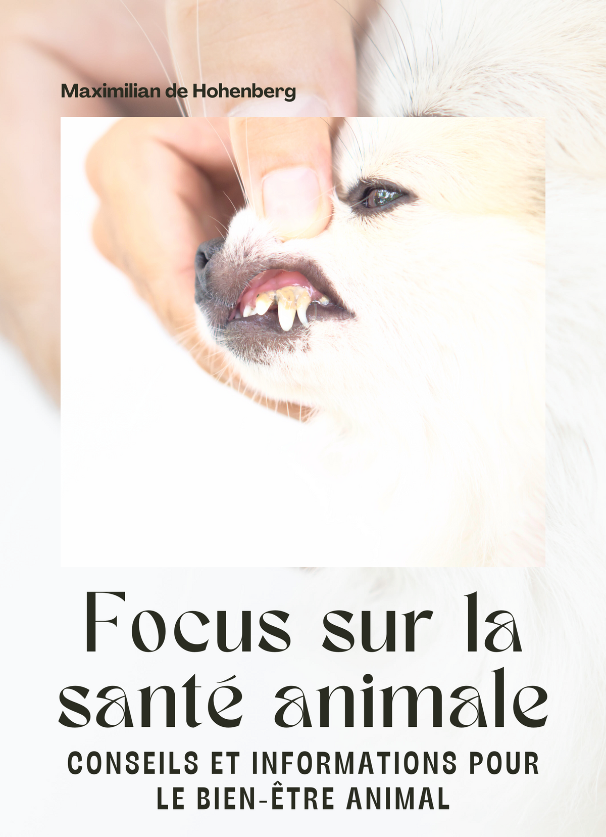 Focus sur la santé animale