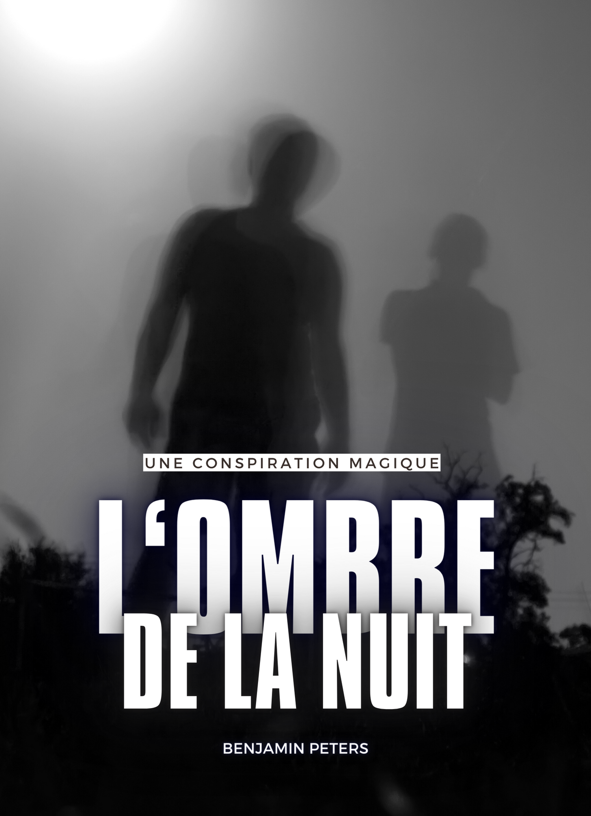 L’ombre de la nuit : une conspiration magique