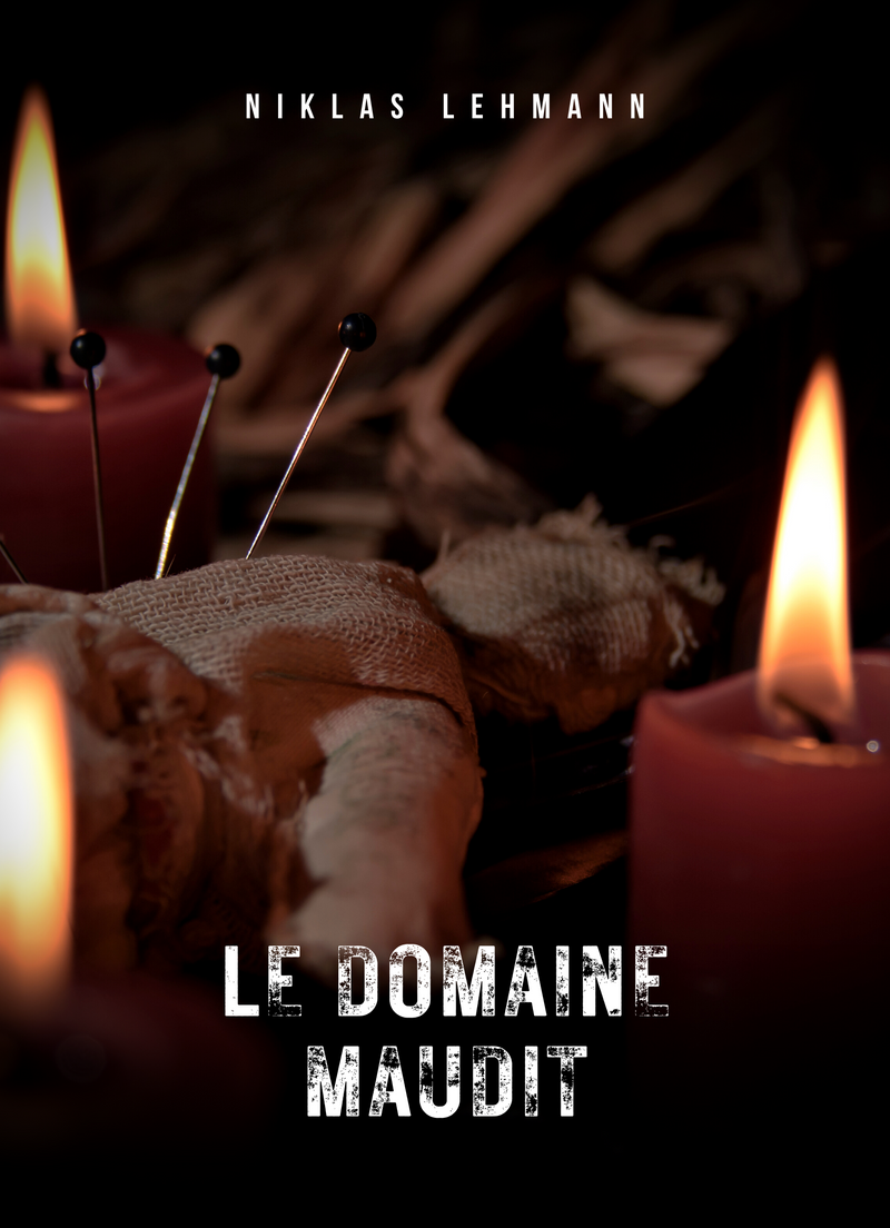 Le domaine maudit