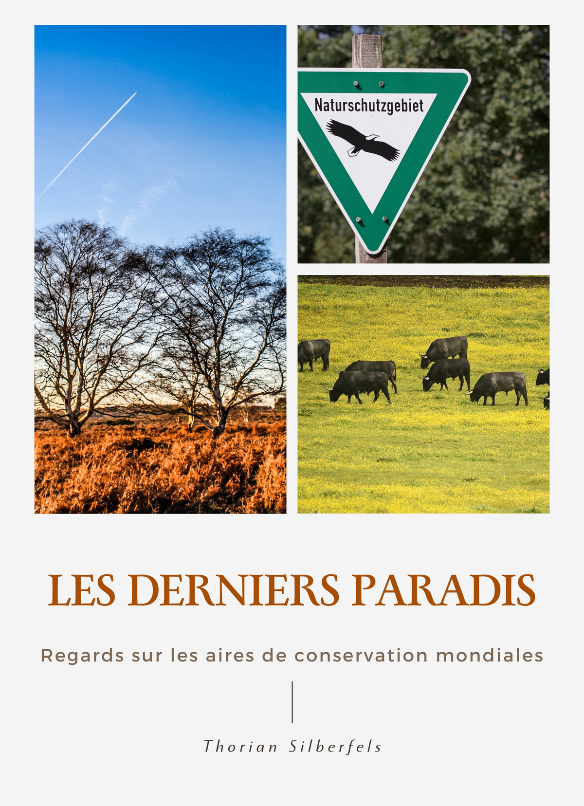 Les derniers paradis