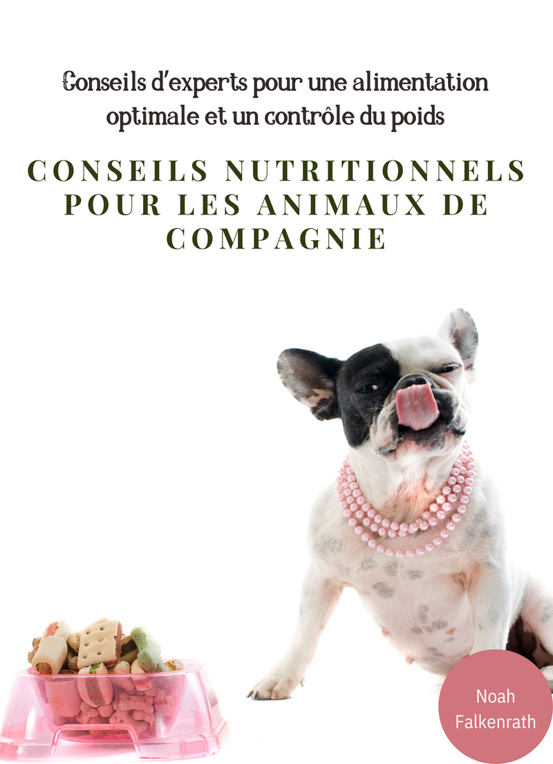 Conseils nutritionnels pour les animaux de compagnie