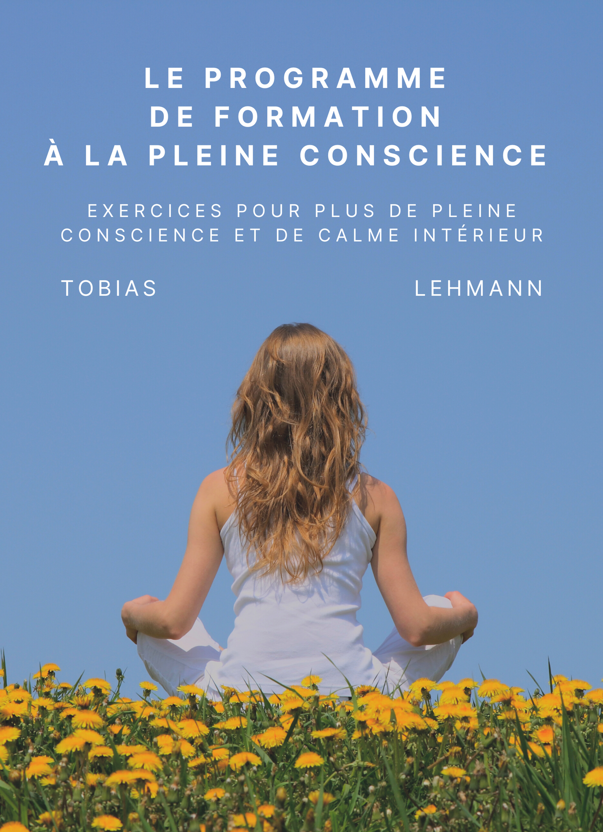 Le programme de formation à la pleine conscience
