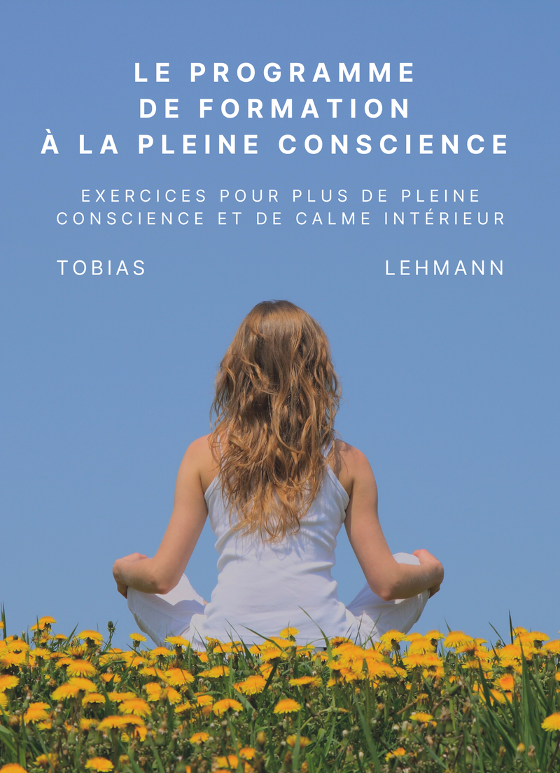 Le programme de formation à la pleine conscience