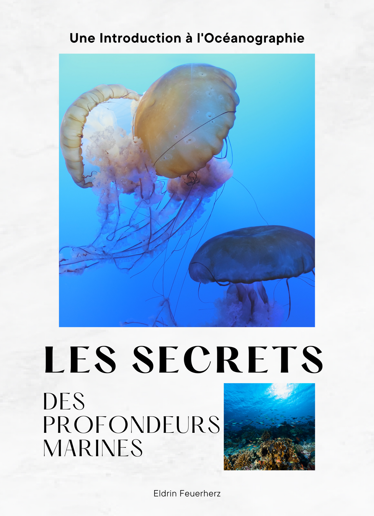 Les Secrets des Profondeurs Marines