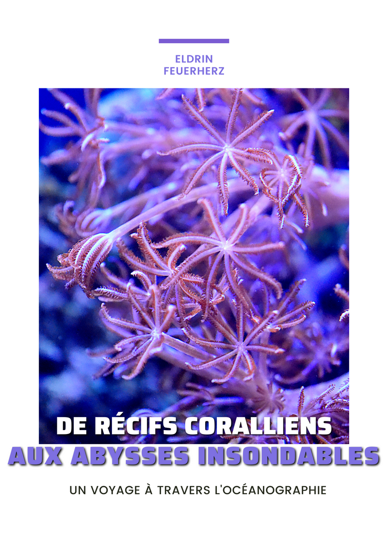 De récifs coralliens aux abysses insondables