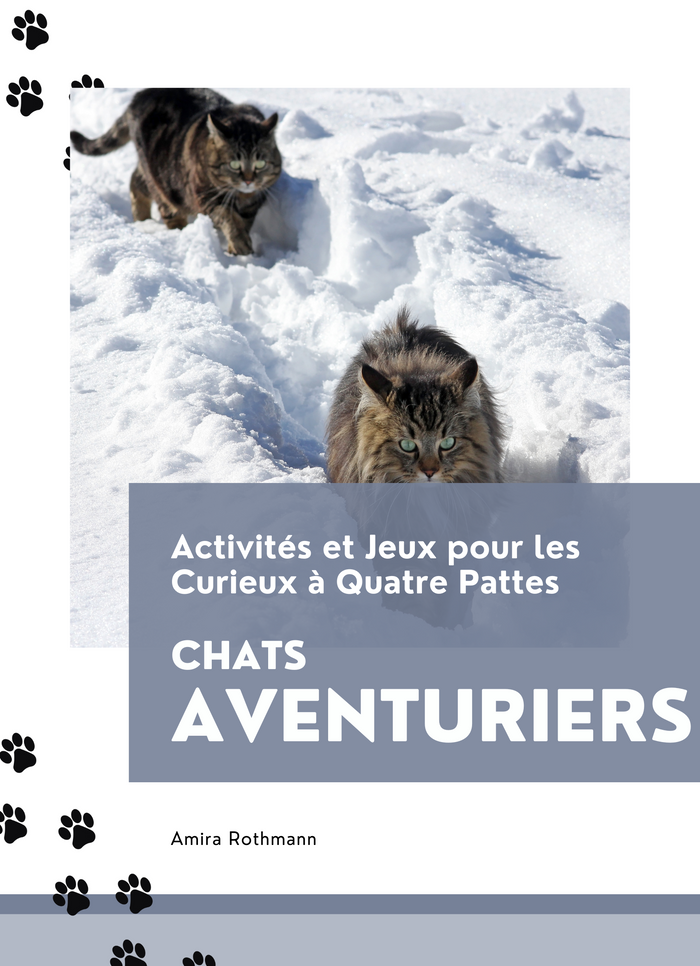 Chats Aventuriers