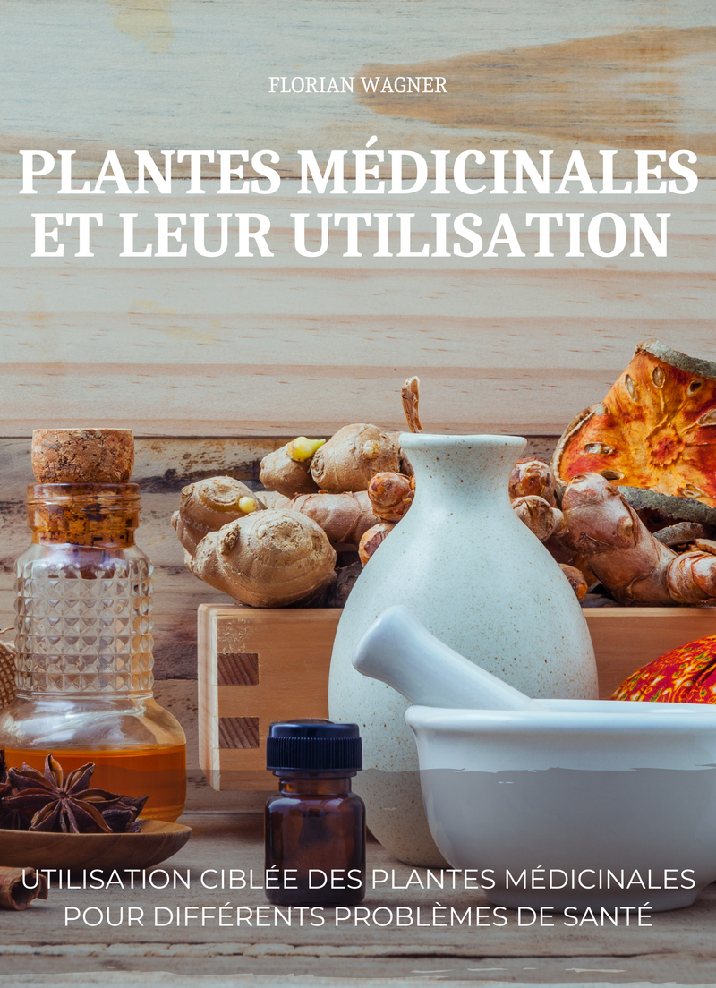 Plantes médicinales et leur utilisation