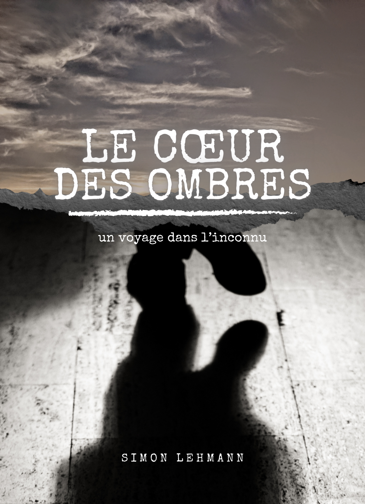 Le cœur des ombres