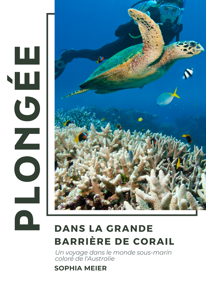 Plongée dans la Grande Barrière de corail