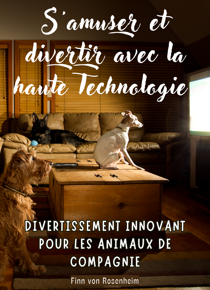 S'amuser et divertir avec la haute Technologie