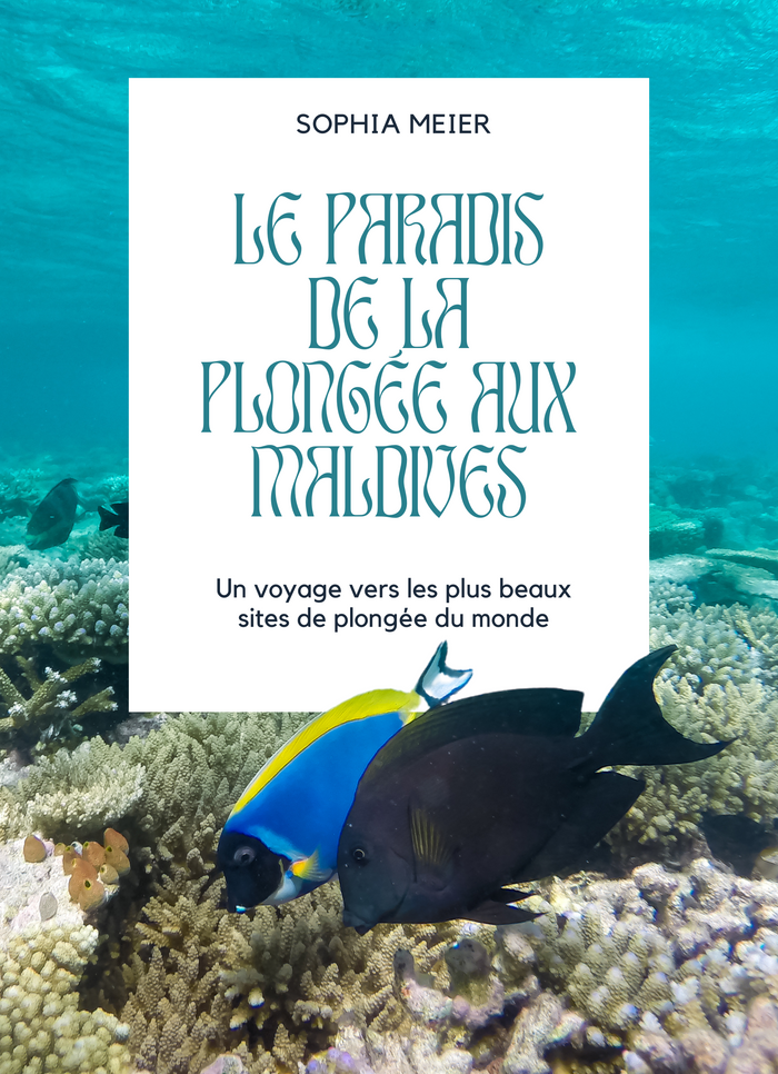 Le paradis de la plongée aux Maldives