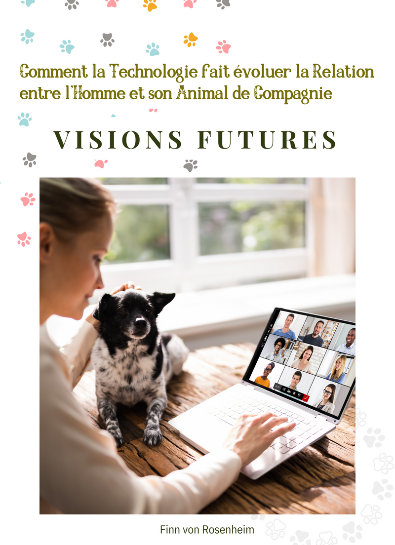 Visions futures