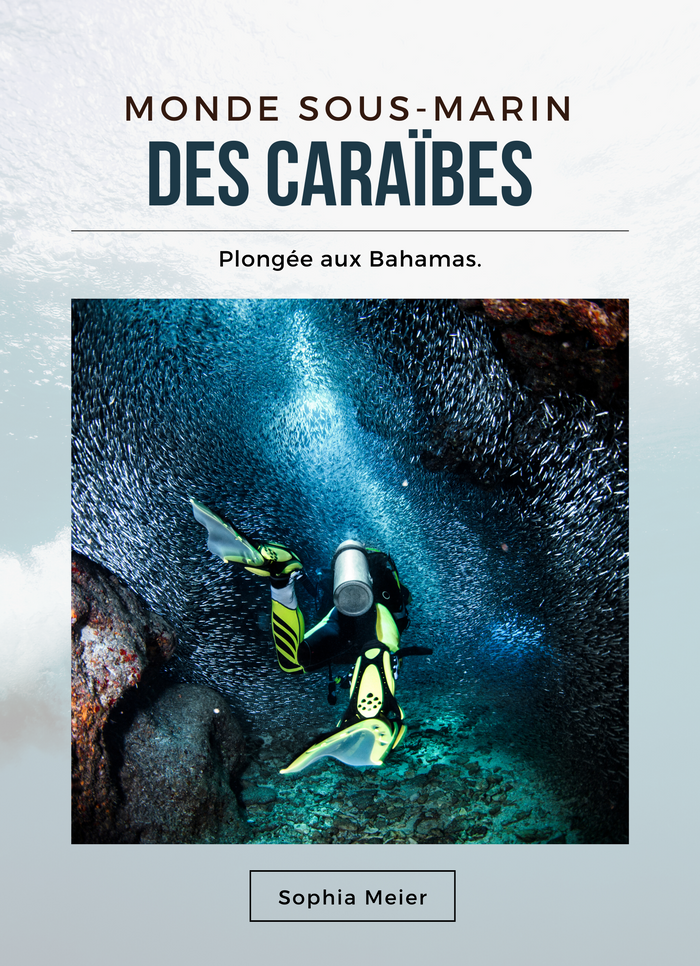 Monde sous-marin des Caraïbes