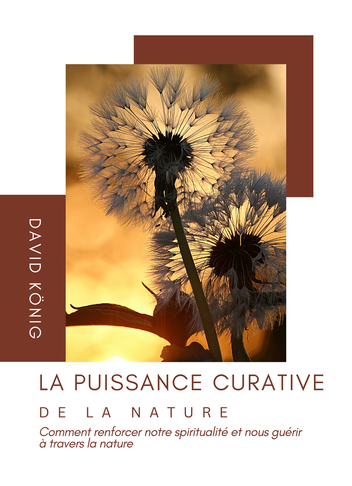 La puissance curative de la nature