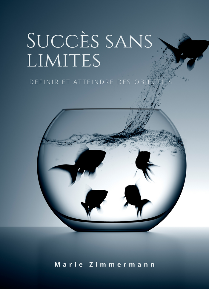 Succès sans Limites