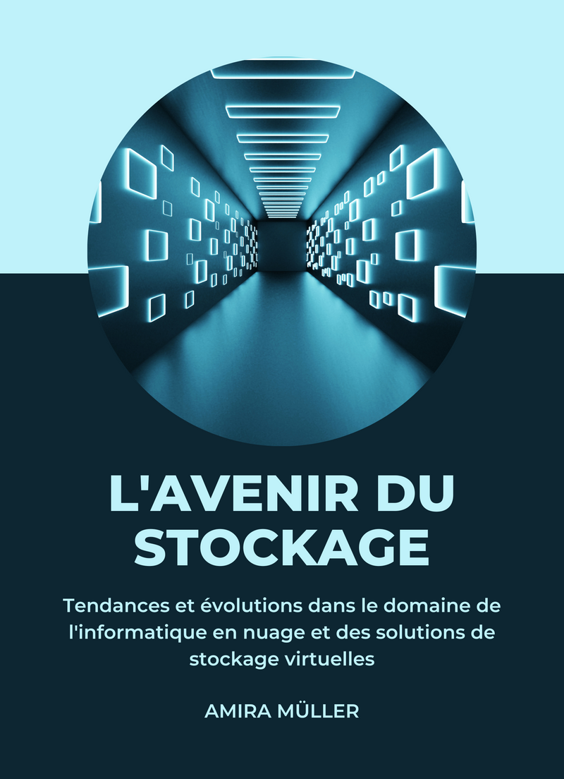 "L'avenir du stockage