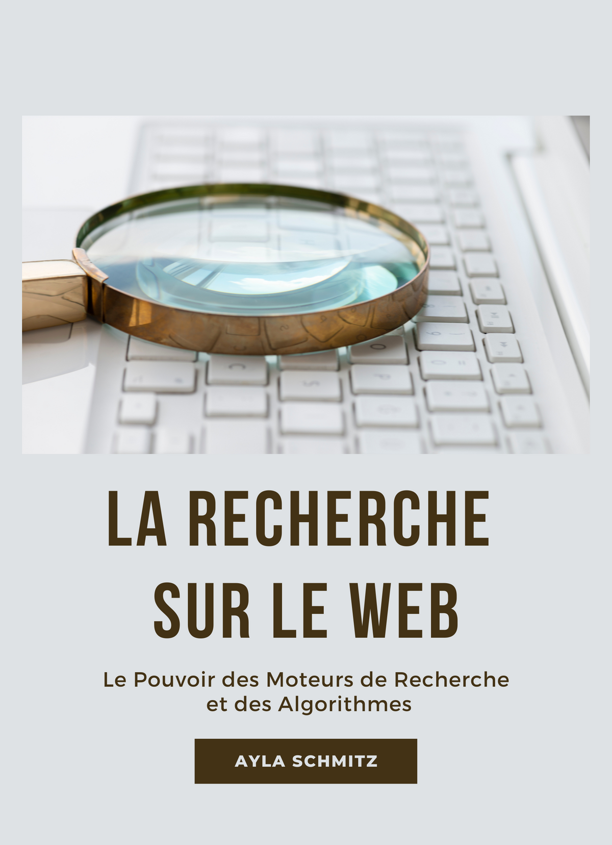 La Recherche sur le Web