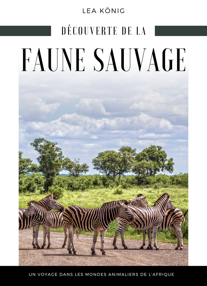 Découverte de la faune sauvage