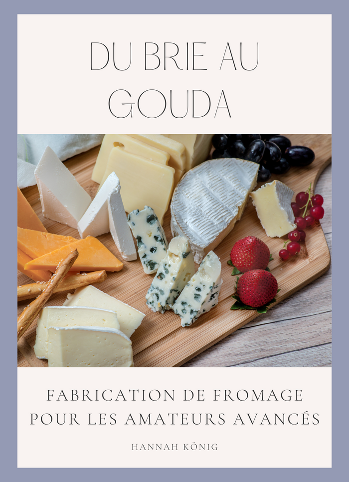 Du brie au gouda