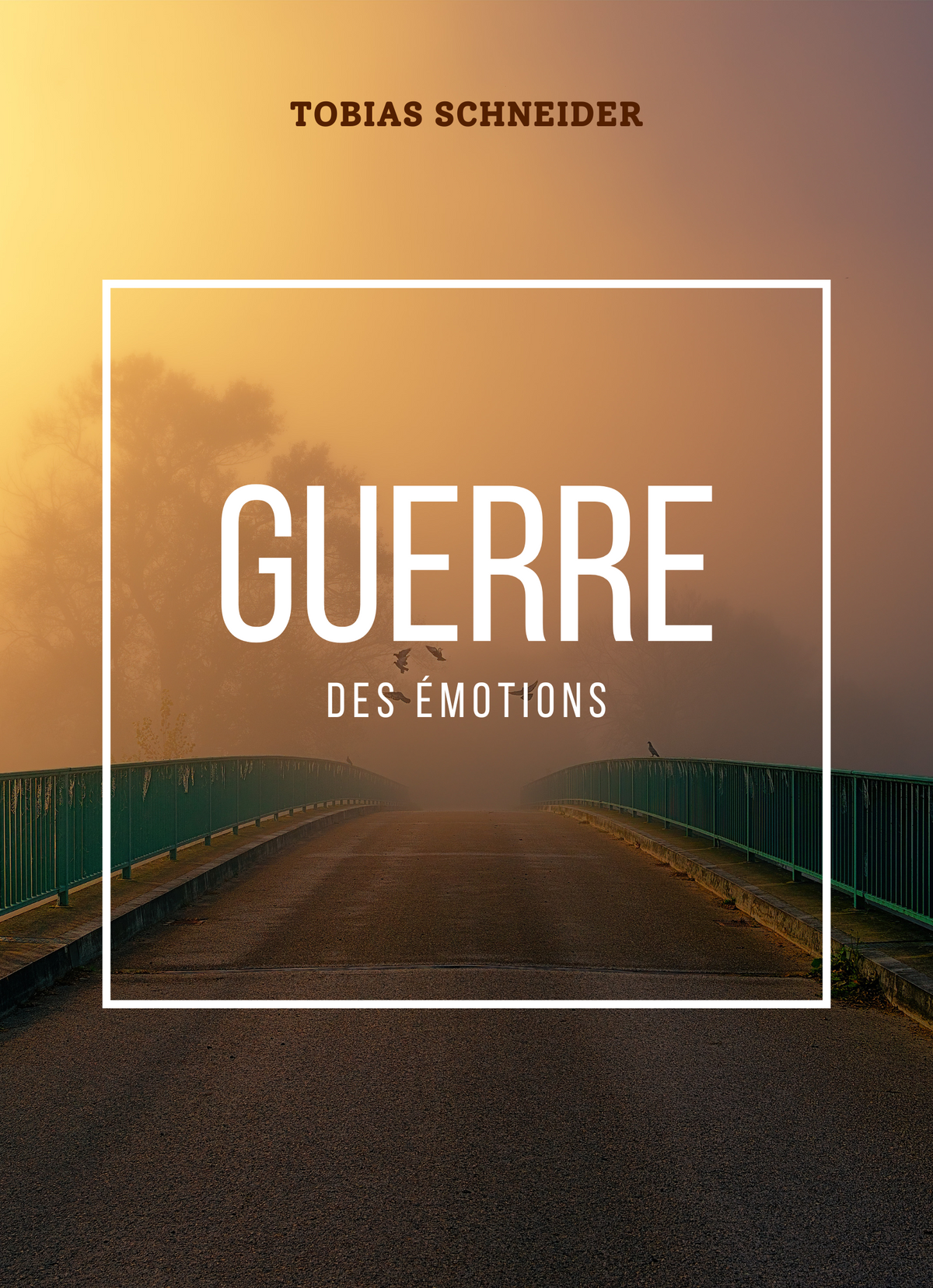 Guerre des émotions