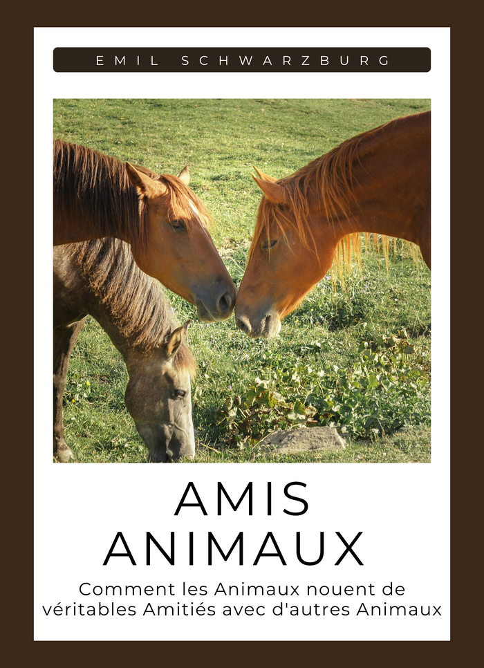 Amis animaux