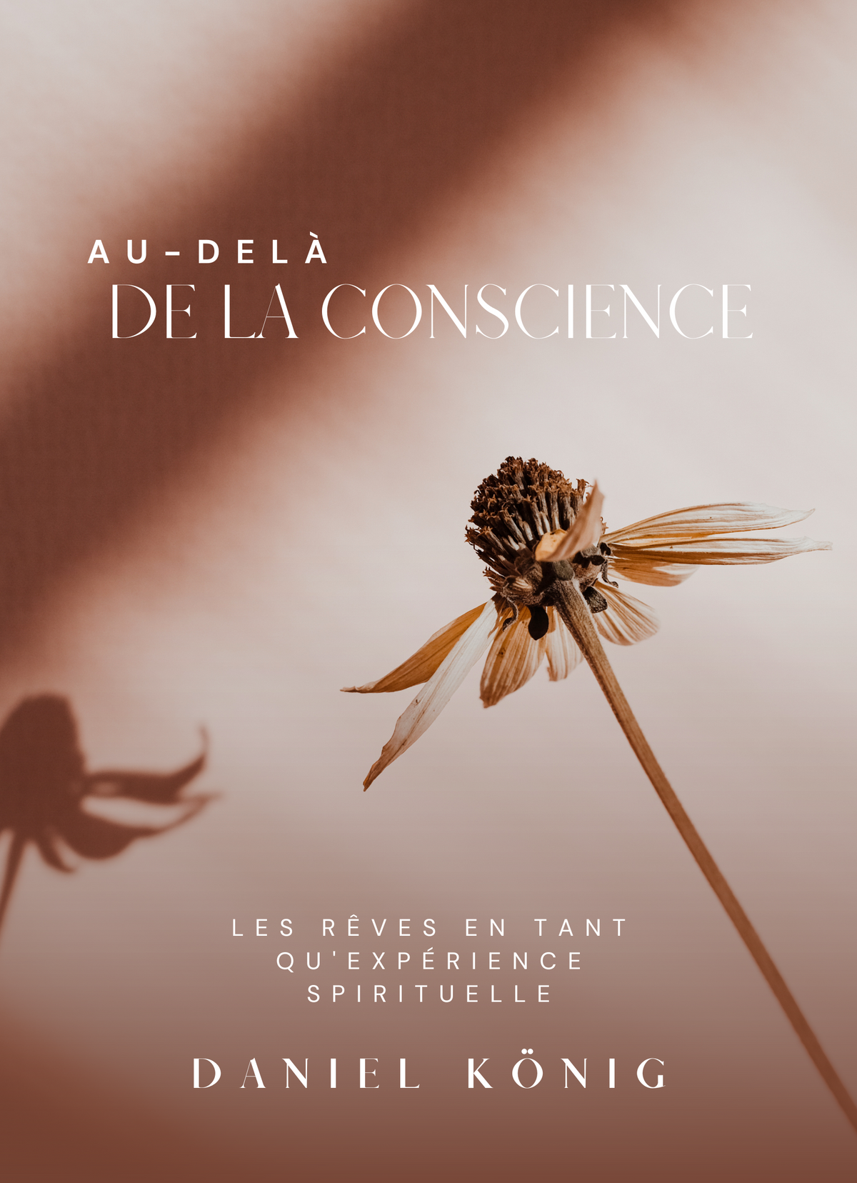 Au-delà de la conscience