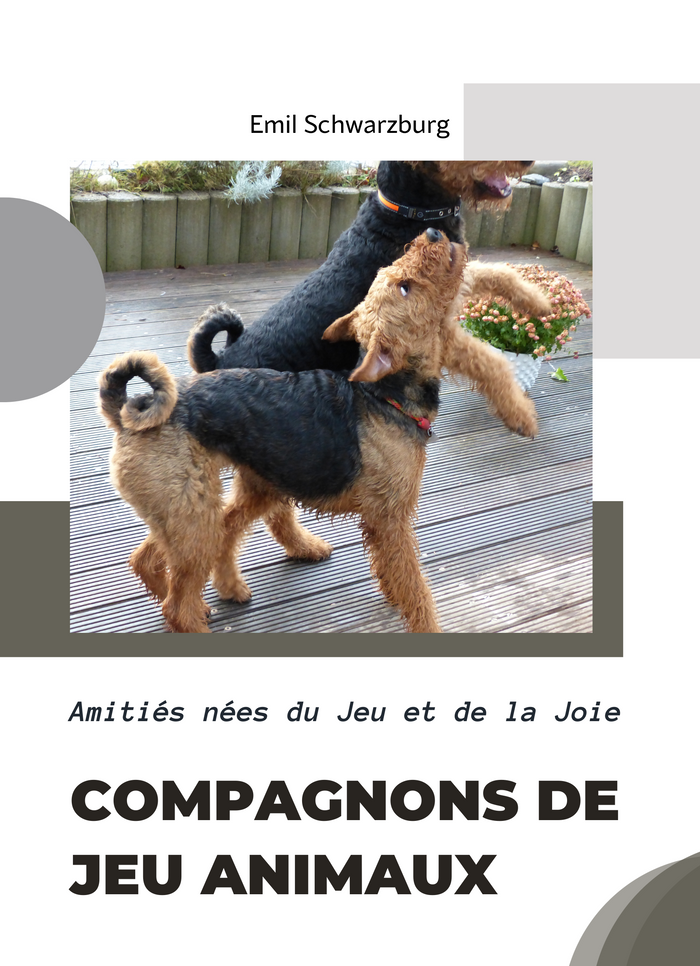 Compagnons de Jeu animaux