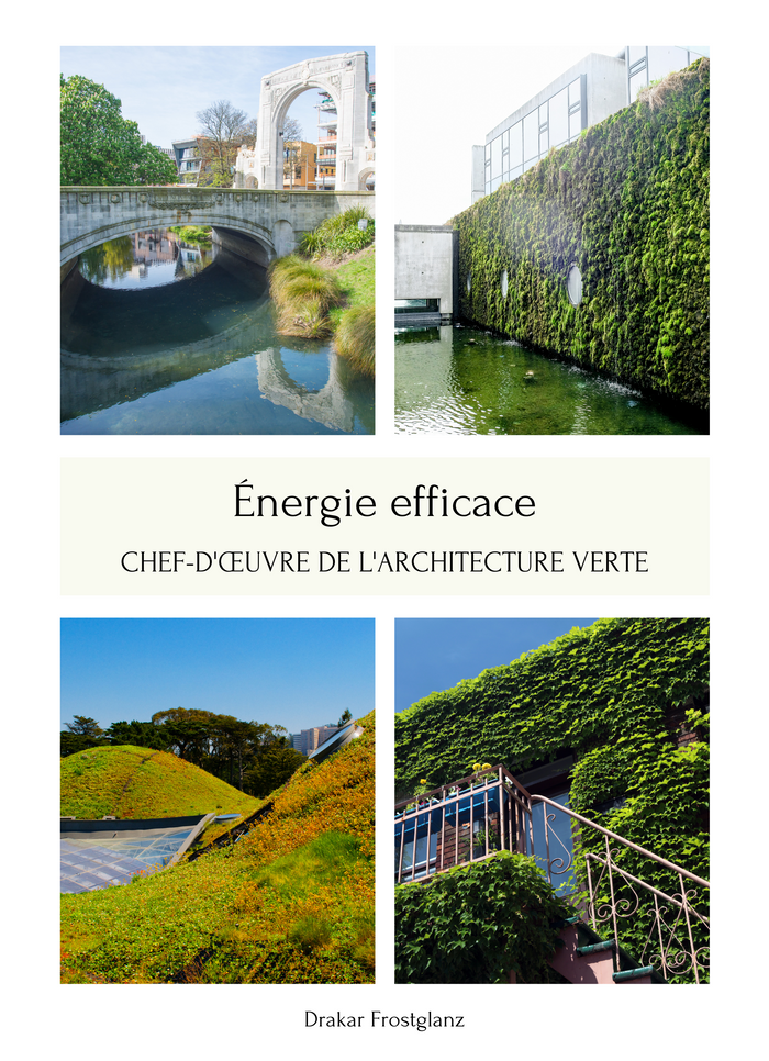 Énergie efficace