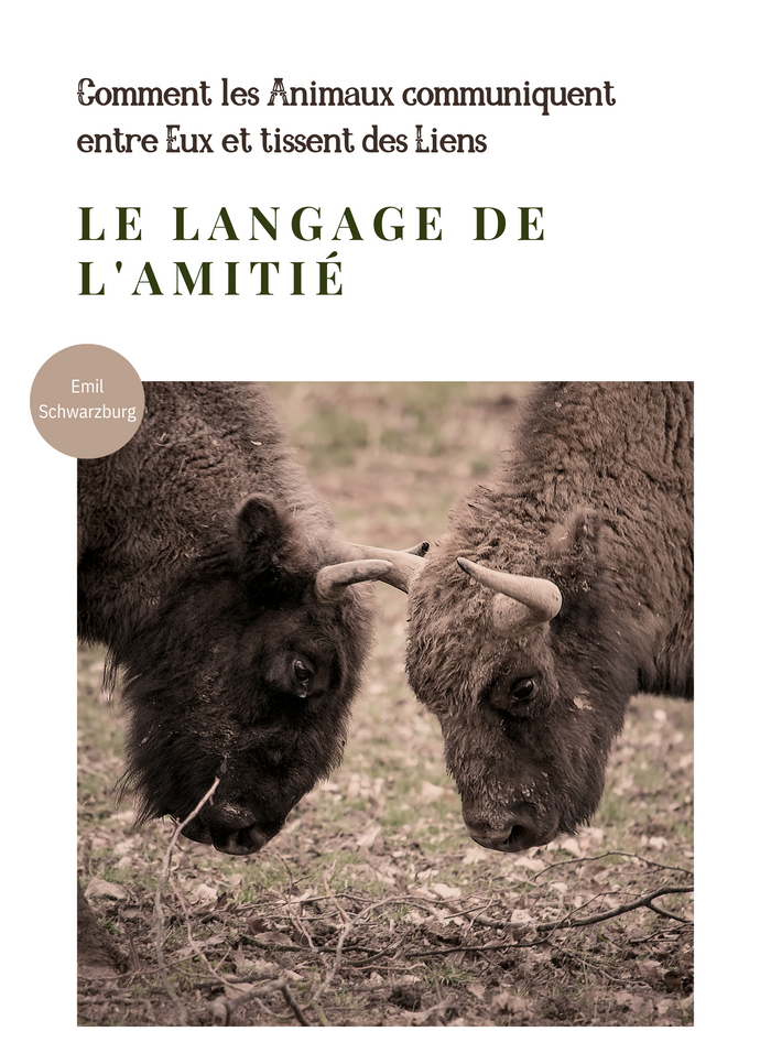 Le Langage de l'Amitié