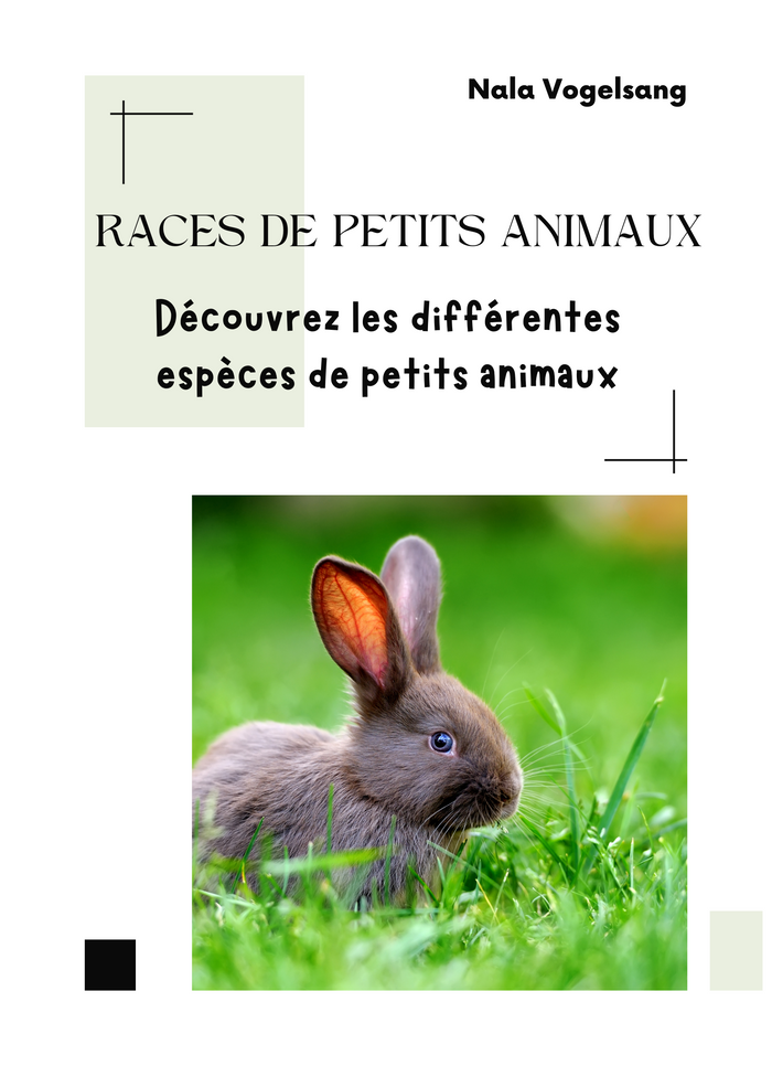 Races de Petits Animaux